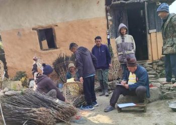भोजपुरको रामप्रसादमा व्यावसायिक स्याउ खेती सुरु
