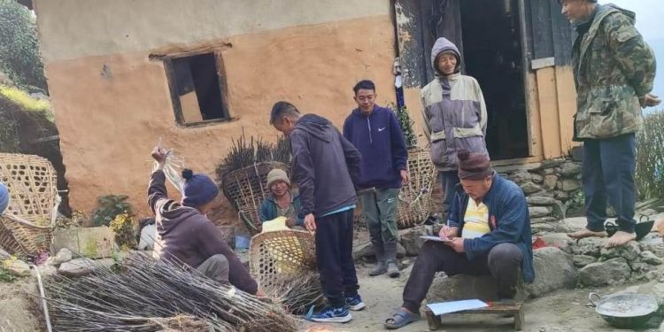 भोजपुरको रामप्रसादमा व्यावसायिक स्याउ खेती सुरु