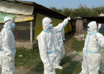 इटहरीका ६ वटासहित ८ फार्ममा बर्डफ्लु पुष्टि, ४२ दिनसम्म नयाँ कुखुरा पालन गर्न नपाइने