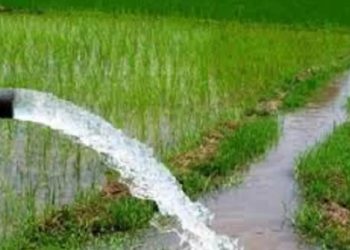 सुनसरी : किसानलाई सिँचाइको समस्या
