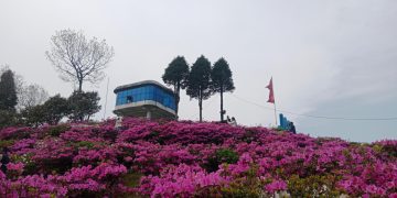 सारङ्गी र मादलको धुनमा जीवन धान्दै दुई गन्धर्व