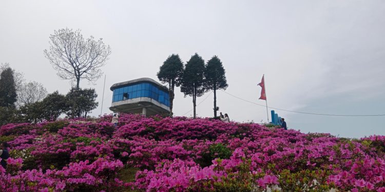सारङ्गी र मादलको धुनमा जीवन धान्दै दुई गन्धर्व