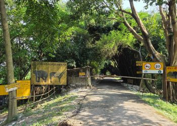 अर्नादेखि डल्फिनसम्मको आश्रयस्थल कोशी टप्पु, पूर्वाधार अभावले पर्यटन सुस्त