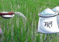कोशी प्रदेशमा अनुदानको मल बिक्री गर्न निर्देशिका लागू गरिने