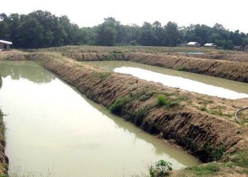 लागतको चापले झापाको माछापालन व्यवसाय सङ्कटमा