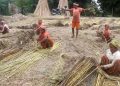 पूर्वमा खेती खुम्चिँदा उद्योगलाई विदेशी जुटको भर