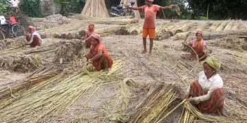 पूर्वमा खेती खुम्चिँदा उद्योगलाई विदेशी जुटको भर