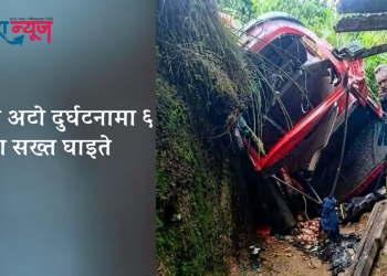 इलाममा अटो दुर्घटनामा ६ जना सख्त घाइते