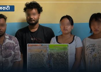 हुलाकको पार्सलबाट थाई गाँजा बरामद, इटहरी र धरानबाट चार पक्राउ