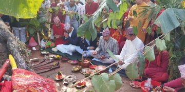 गाईघाटको पञ्चावती भगवती मन्दिरमा भित्र्याइयो फूलपाती