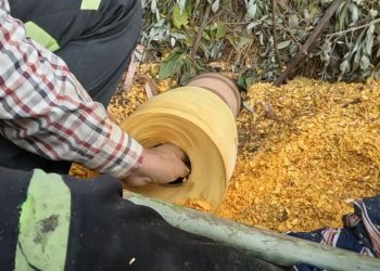 पानी र चुदारोले जोगाएको ठेकी बनाउने सीप