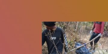 जंगलमा युवतीको बेवारिसे शब, परीक्षणका लागि घोपा लगियो