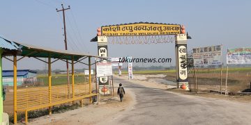 कोशीटप्पुमा दुई सातामा दुई लाख बढी पर्यटक, पर्यटकको रोजाईमा हात्ती सफारी