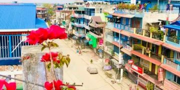 आज तरहरामा डेङ्गुको औषधि लगाइने