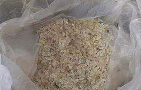 विपन्नलाई राहत : कुहिएको चामल