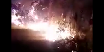 इटहरी ३ मा रहेको तालतलैया क्षेत्रमा आगलागी