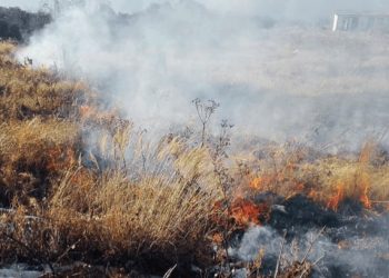 पाथीभरा क्षेत्रमा लागेको आगो अझै नियन्त्रणमा आउन सकेन