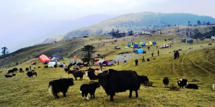 नयाँ वर्षमा चौरी महोत्सव हुँदै