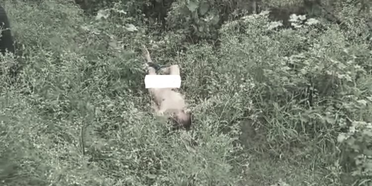 इटहरीको टेङ्ग्रा खोला नजिकै नग्न अवस्थामा शव फेला, कुटपिटबाट मृत्यु भएको हुनसक्ने आशंका