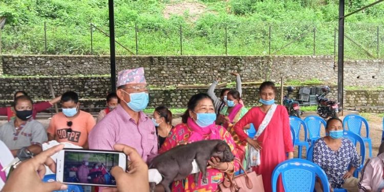 धरानका कृषकहरुलाई कालो बंगुरको पाठापाठी उपहार