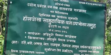 हाँसपोसा सामुदायिक वन उपभोक्ता समूह : असल कामको, कमसल नतिजा