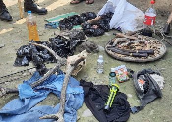 हरिणको मासु र अवैध हतियारसहित बराहक्षेत्रबाट दुईजना पक्राउ