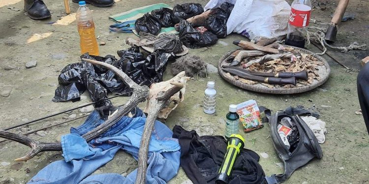 हरिणको मासु र अवैध हतियारसहित बराहक्षेत्रबाट दुईजना पक्राउ