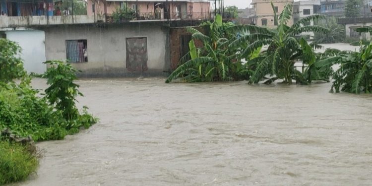पानीको लयलाई रोक्न खोज्दा बस्तीमा पस्यो बाढी, प्रदेश सांसद भन्छन्, ‘आफैँ जनप्रतिनिधि कसलाई हारगुहार गर्नु ?’