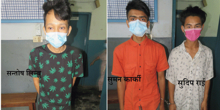 ब्राउनसुगर र लागूऔषधसहित तीनजना पक्राउ