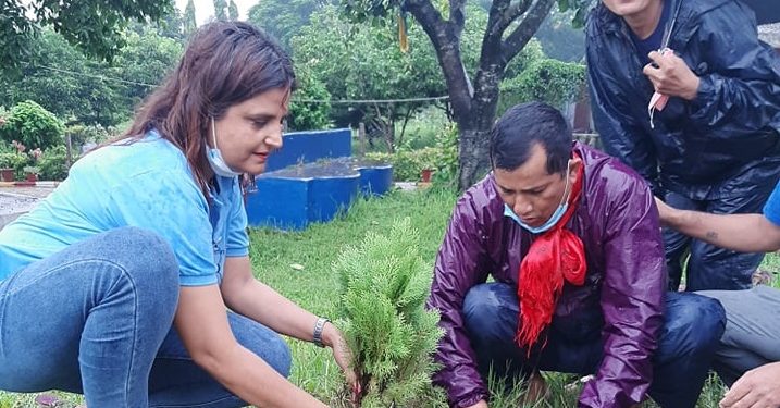 रोटरी क्लब अफ इटहरीद्वारा तालतलैयामा विश्रामस्थलसँगै वृक्षारोपण