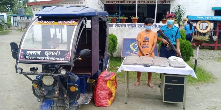 सुन्दरहरैचामा गाँजा सहित सिटी सफारी चालक पक्राउ