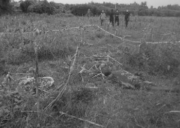 बेलबारीमा एक महिलाको शव फेला