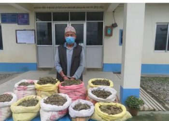 खोटाङमा १५ केजी गाँजासहित एक पक्राउ