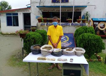 लागूऔषध मुद्धाका फरार प्रतिवादी गाँजासहित पक्राउ