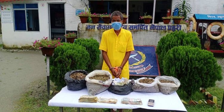 लागूऔषध मुद्धाका फरार प्रतिवादी गाँजासहित पक्राउ