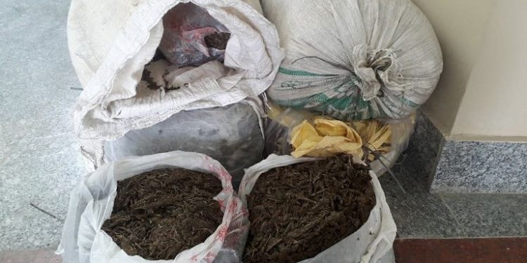 सुनसरीमा ६० केजी गाँजा बरामद