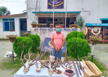 भरुवा बन्दुक बनाई बेचबिखन गर्ने आश बहादुर हरिणको सिङ सहित पक्राउ