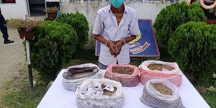बेलबारीमा ७ केजी गाँजासहित एक वृद्द पक्राउ
