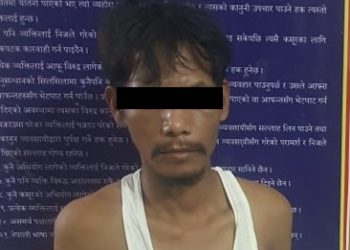 झापामा मार्तलले हानेर आफ्नै दाजुको हत्या