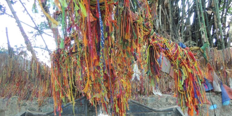 धरानको बुढासुब्बा मन्दिरमा रहेको धार्मिक तथा ऐतिहासिक महत्व बोकेका बाँसको संरक्षण गरिने