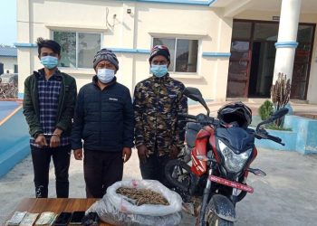 अवैध लागूऔषध गाँजासहित तीनजना पक्राउ