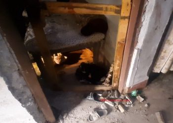 इटहरी बम बिस्फोटबारे के भन्छन् सुनसरीका एसपी ?