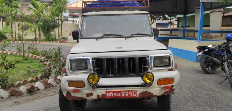 विराटनगरमा ठूलो परिणामको गाँजा र अदुवासहितको पिकअप बरामद