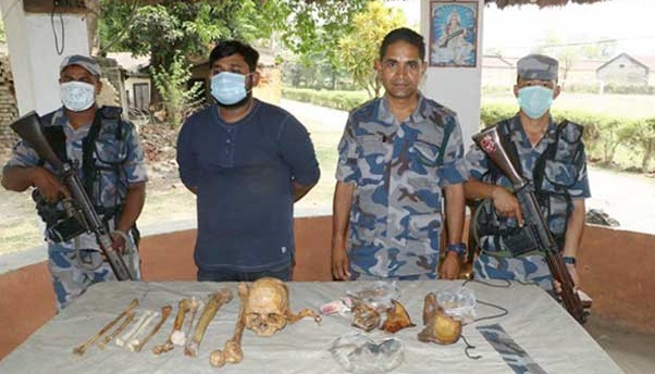 धरानस्थित वीपी प्रतिष्ठानमा एमबिबिएस अध्ययनरत एक विद्यार्थी मानव हड्डीसहित पक्राउ