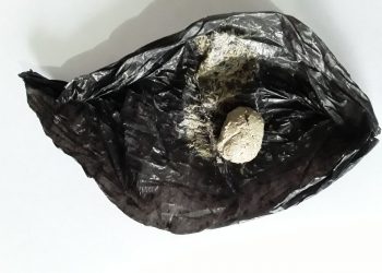 इटहरीका केसीसहित दुईजना ब्राउनसुगरसहित पक्राउ