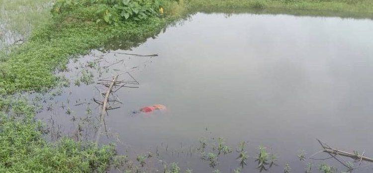 मोरङमा घरबाट माइत जान भनेर हिँडेकी महिलाको पोखरीभित्र शव फेला