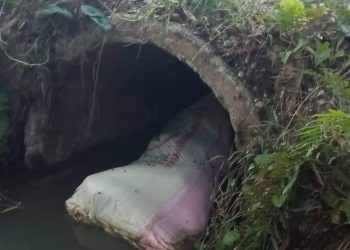 झापामा बोराभित्र शव फेला, हत्याको आशंका