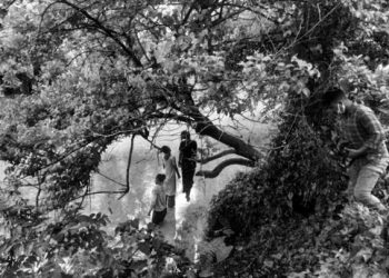 झापामा तीनजना किशोरी एउटै रूखमा झुण्डिएको अवस्थामा मृत फेला