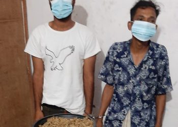 झापामा गाँजासहित दुई पक्राउ