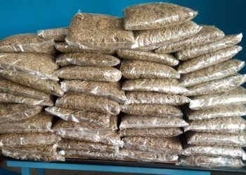 विराटनगरमा प्रहरीलाई देखेपछि ६१ केजी गाँजासहित सिटी सफारी छोडेर फरार